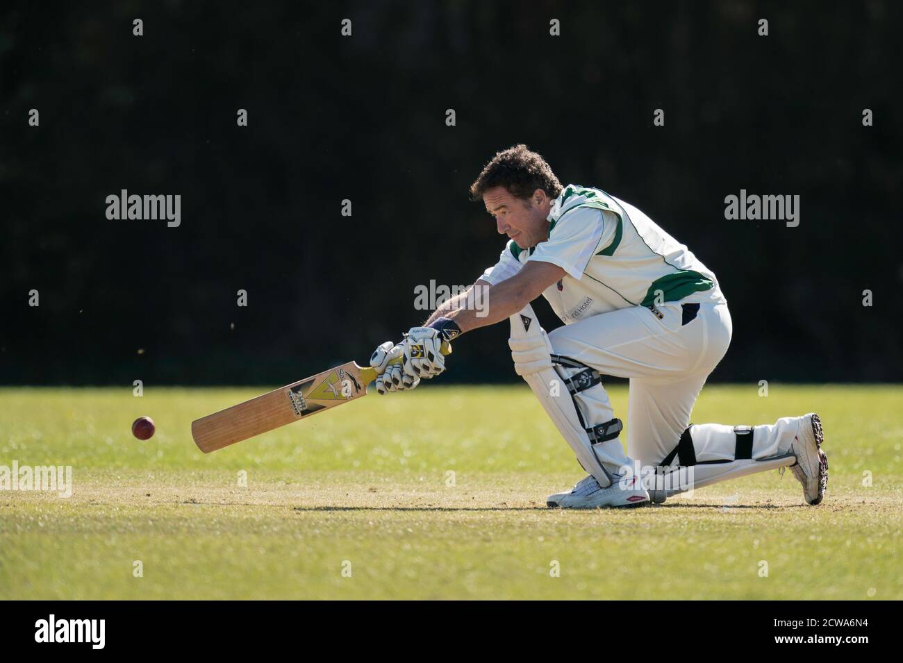 Cricket battitore giocando tiro. Foto Stock