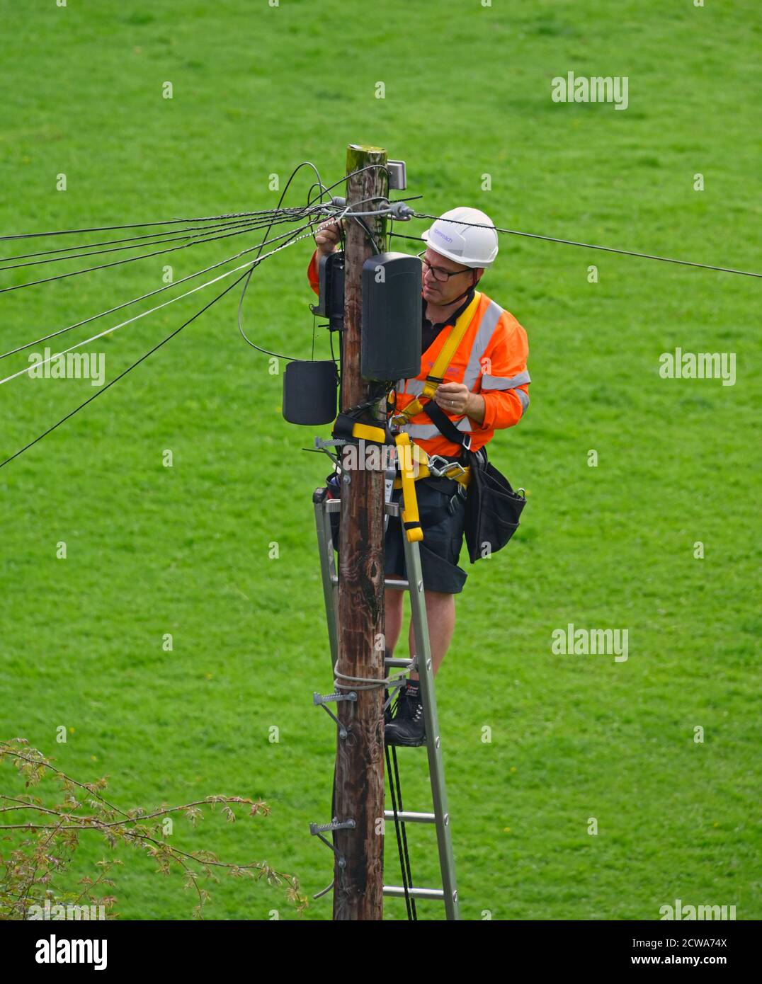 Openreach ingegnere sulla scala in cima al palo di legno, lavorando su apparecchiature di telecomunicazione. Bowling Fell, Kendal, Cumbria, Inghilterra, Regno Unito, Europa. Foto Stock