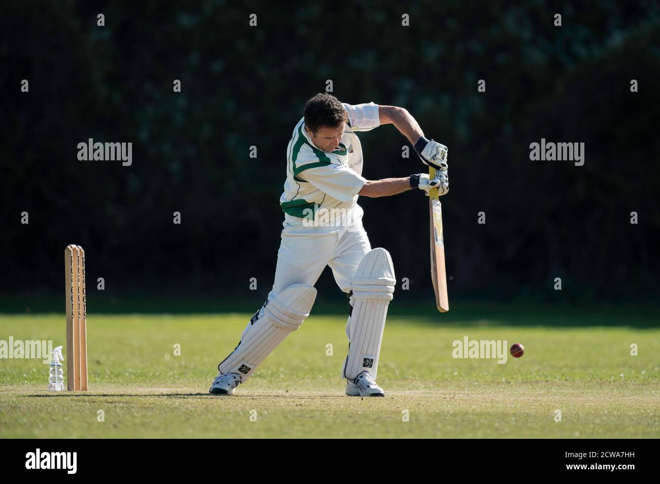 Cricket battitore giocando tiro. Foto Stock