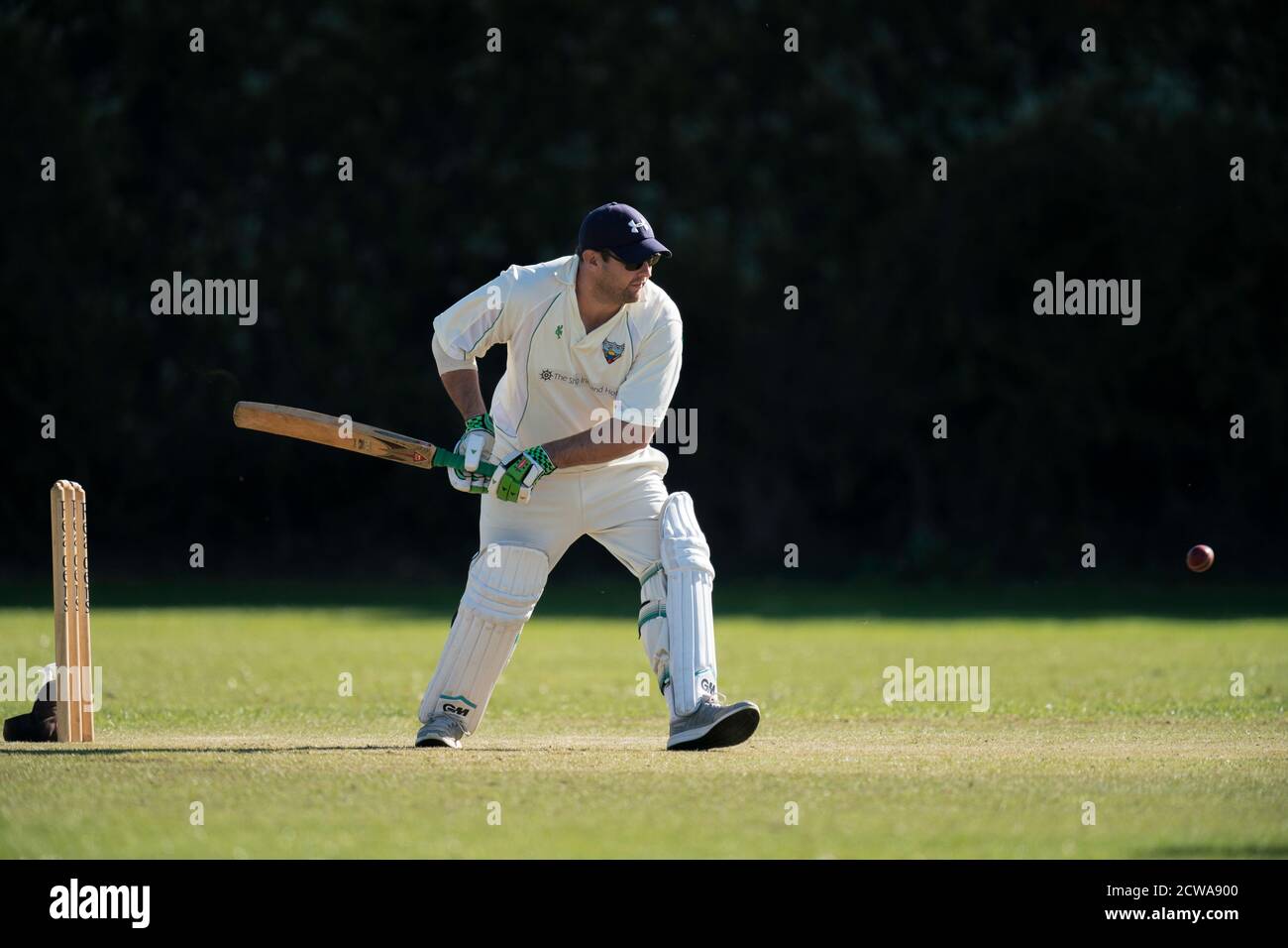 Cricket battitore giocando tiro. Foto Stock