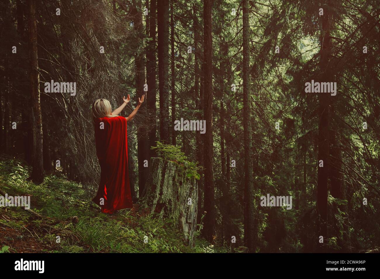 Donna che prega nei boschi Foto Stock