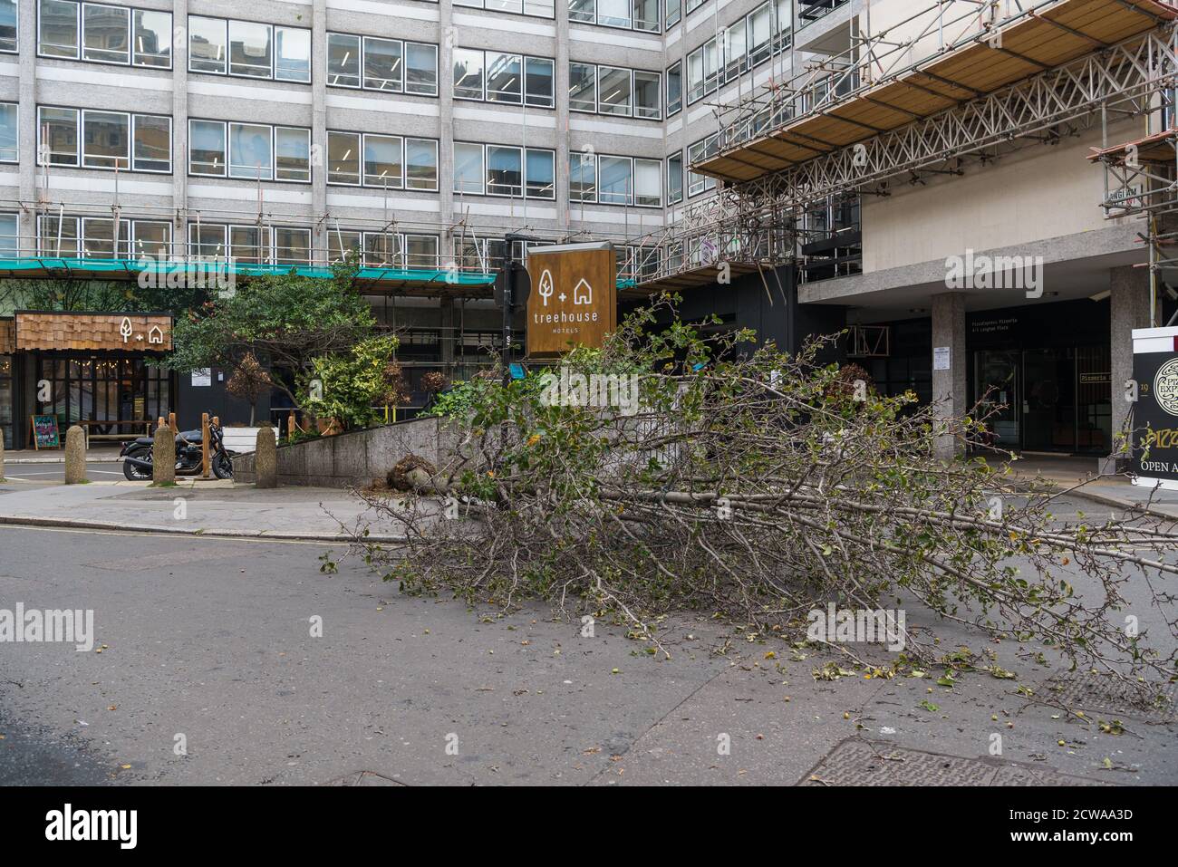 I venti alti causano la caduta di un albero fuori del Treehouse Hotel, Langham Place, Marylebone, Londra, Inghilterra, Regno Unito Foto Stock
