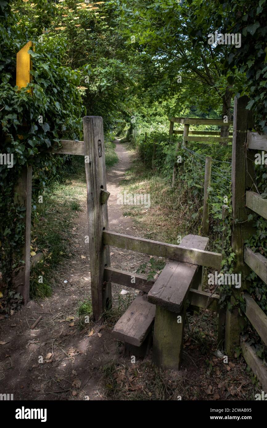 Sentiero e stile nel bosco di Swhland, Leicestershire, Inghilterra. Foto Stock