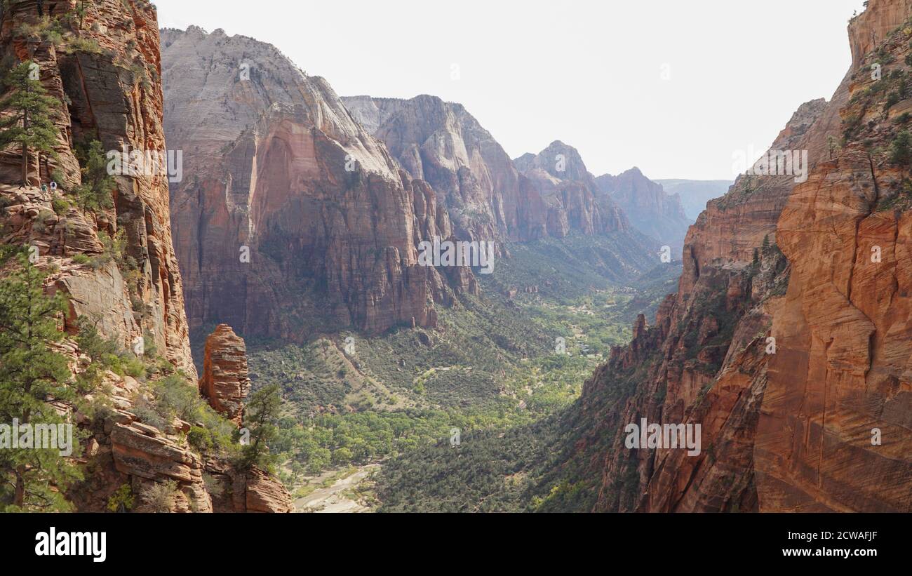 Navajo Sandstone Mountain Cliffs on the Angels Landing escursione a Zion National Park, Utah, USA. Foto Stock