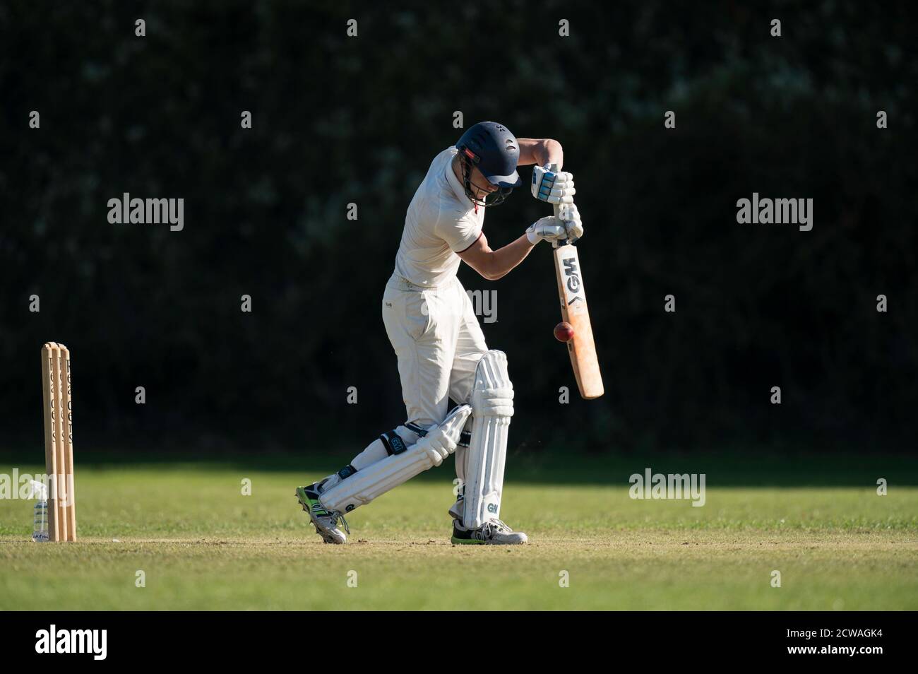 Cricket battitore giocando tiro. Foto Stock