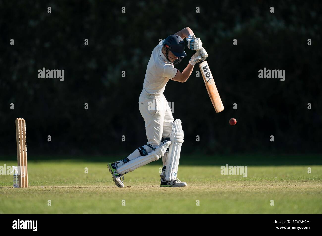 Cricket battitore giocando tiro. Foto Stock