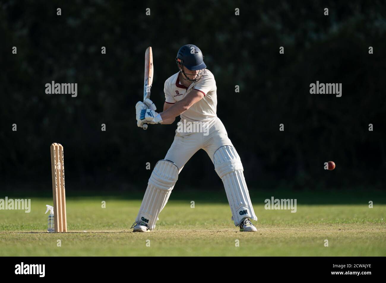 Cricket battitore giocando tiro. Foto Stock