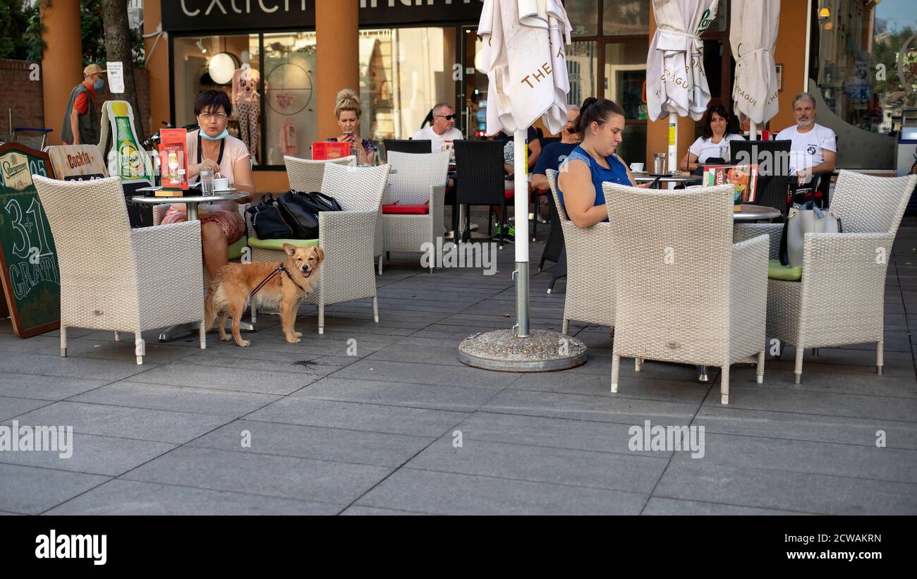 Belgrado, Serbia, 17 settembre 2020: Una delle caffetterie all'aperto con gli ospiti in via Gospodska a Zemun Foto Stock