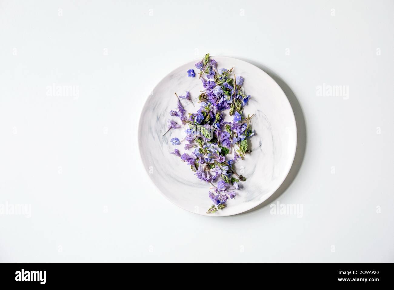 Viola viola fiori commestibili su piatto bianco su sfondo bianco. Piatto, spazio Foto Stock