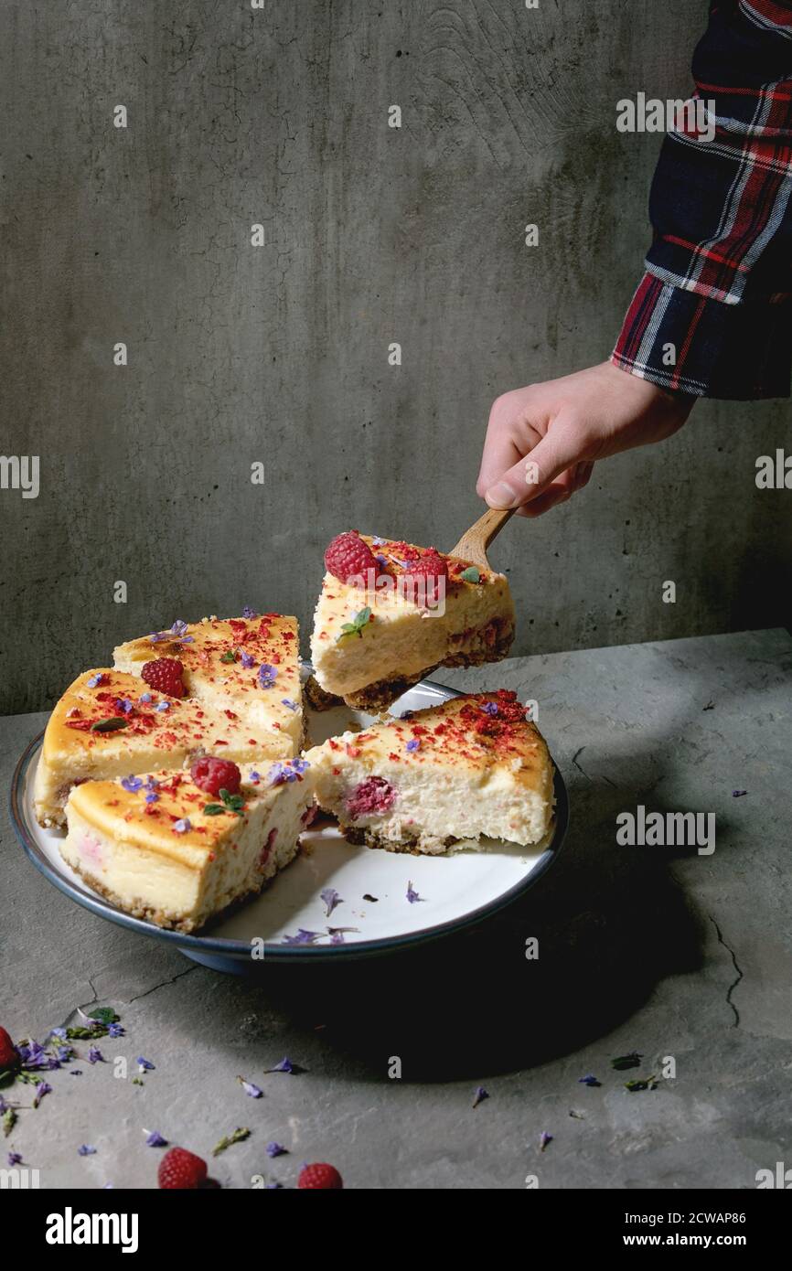 Pezzo di mano dell'uomo di lampone fatto in casa cheesecake al forno su server torta di legno. Porzione su piatto, lamponi freschi e menta sopra su tavola grigia. Foto Stock