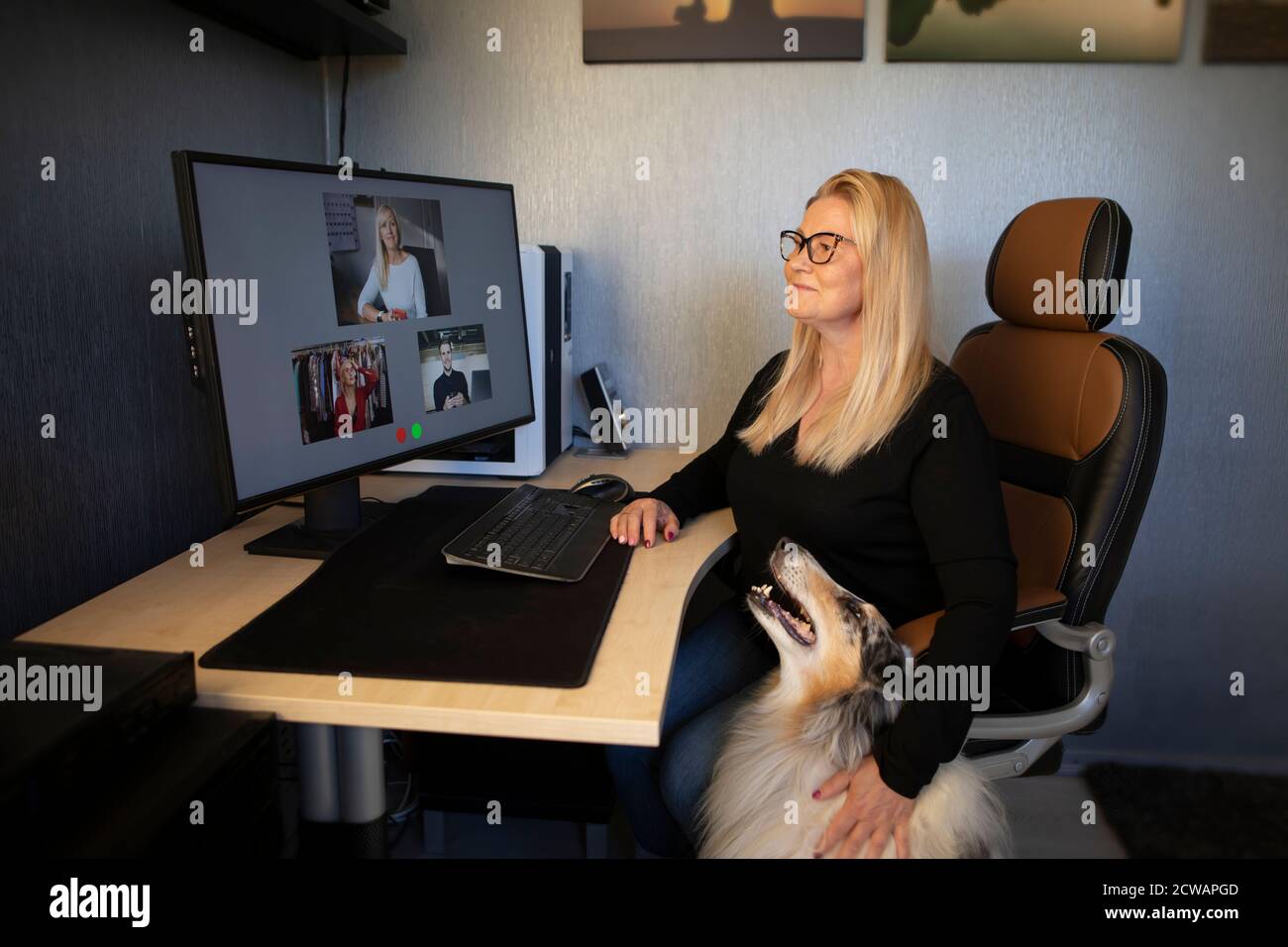 Sorridente donna matura che ha videochiamata via computer in casa ufficio un collie cane oltre. Videoconferenza online per riunioni di team da casa. Foto Stock