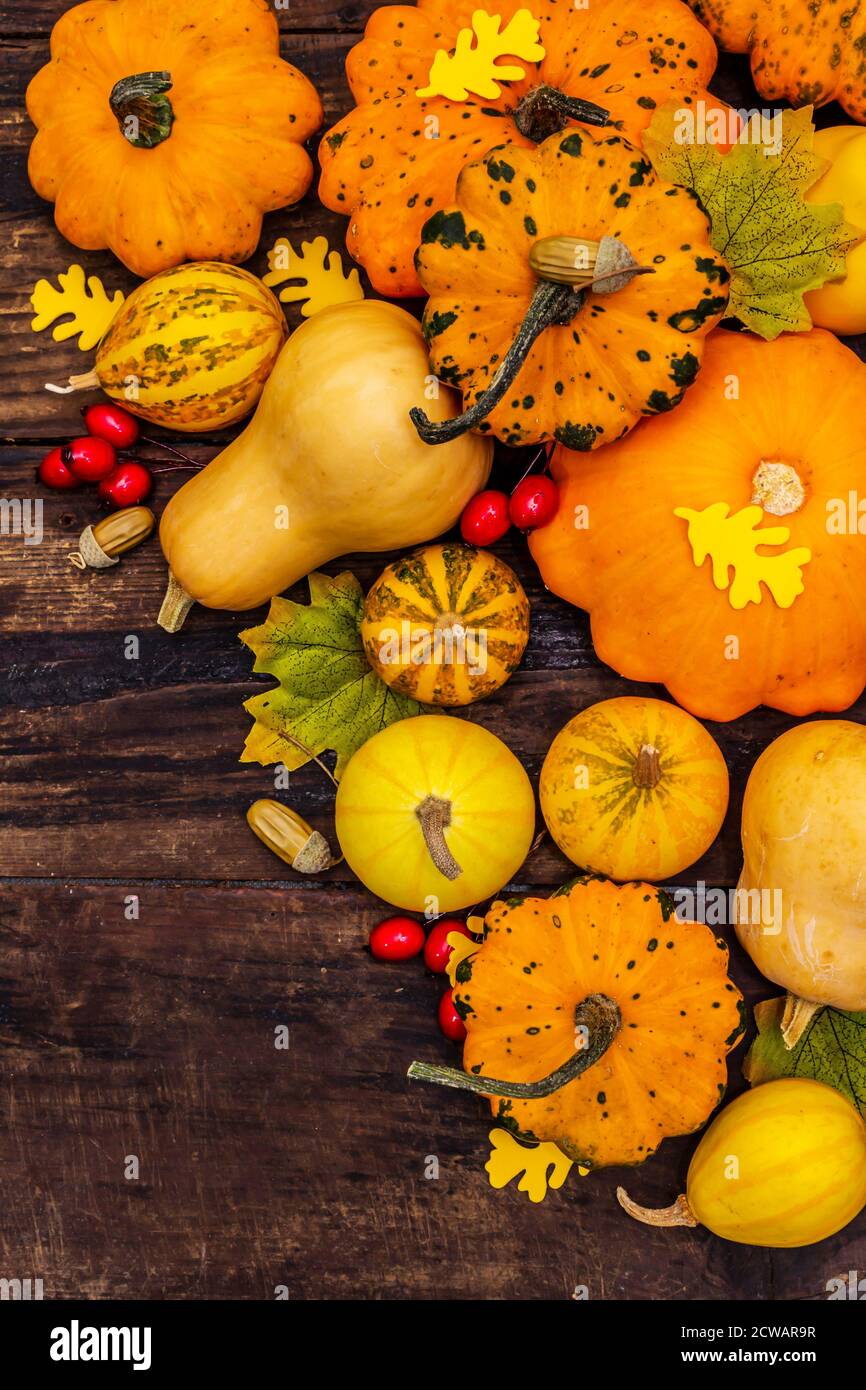 Raccolta di varie zucche mature, foglie e bacche di roseanca. Sfondo festivo colorato, giorno del Ringraziamento o di Halloween. Vecchie tavole di legno di sfondo Foto Stock