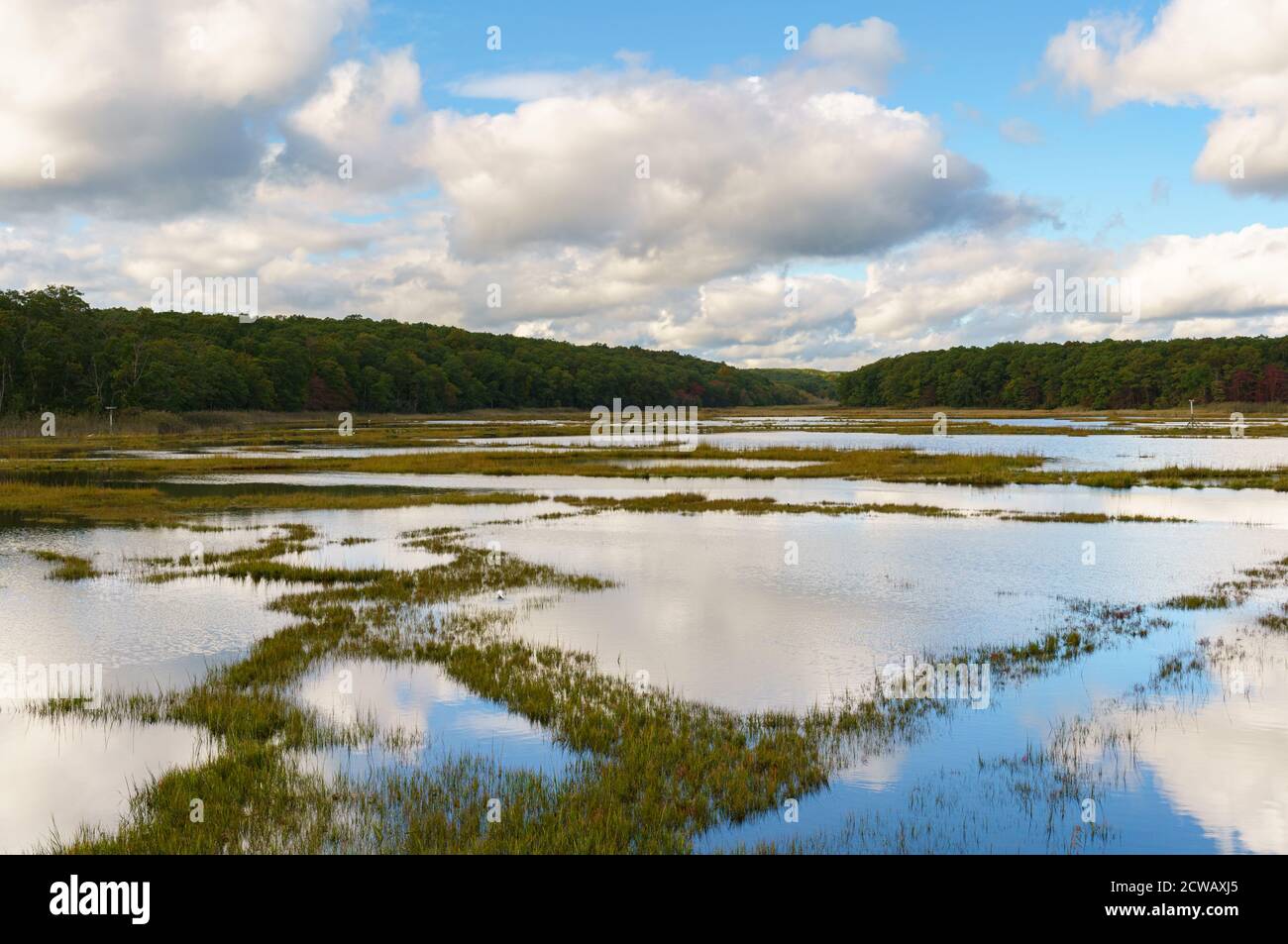 Le nuvole di Cumulus si riflettono nelle acque blu di Bride Brook Salt Marsh, Rocky Neck state Park, Niantic, East Lyme, Connecticut, in autunno. Foto Stock