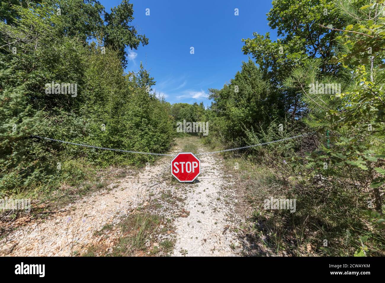 segnale di stop rosso su una strada di campagna Foto Stock