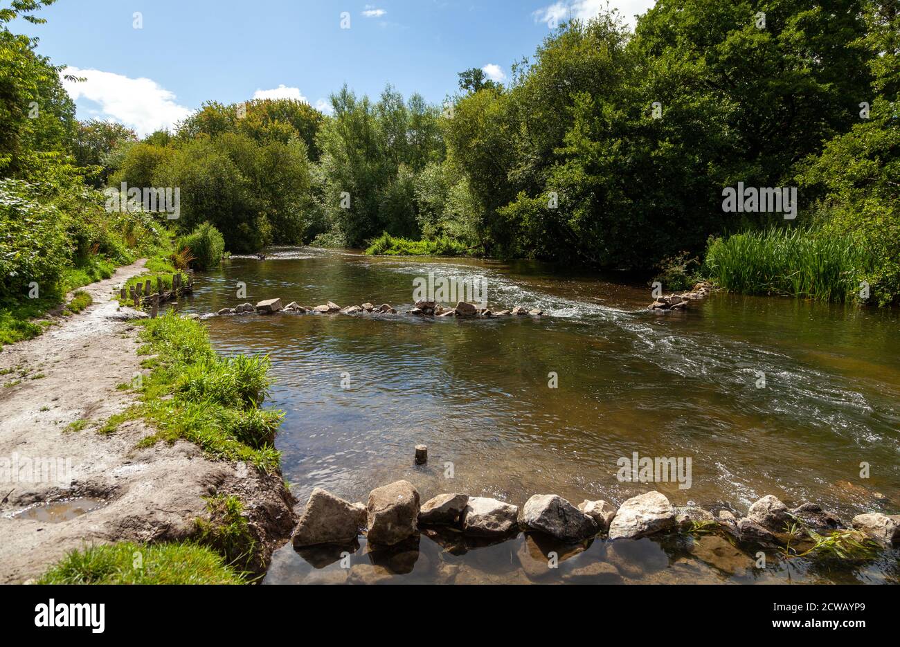 Camminando lungo il fiume Nadder vicino a Churchfields in Salisbury, Wiltshire. Foto Stock