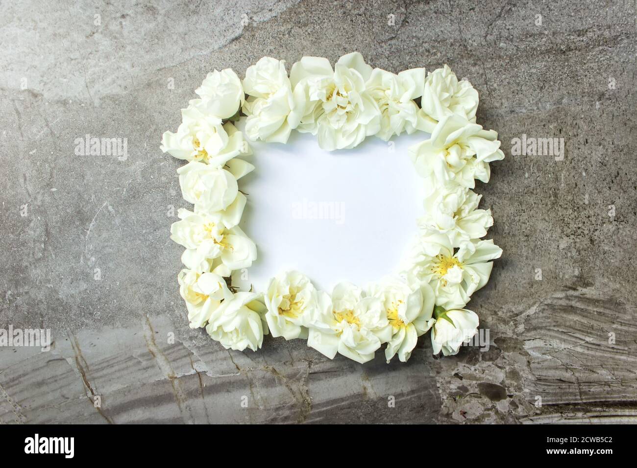 Bianco cornice vuota, petali per spa o matrimonio mockup grigio sfondo vista dall'alto. Splendido motivo floreale. Stile di posa piatto Foto Stock