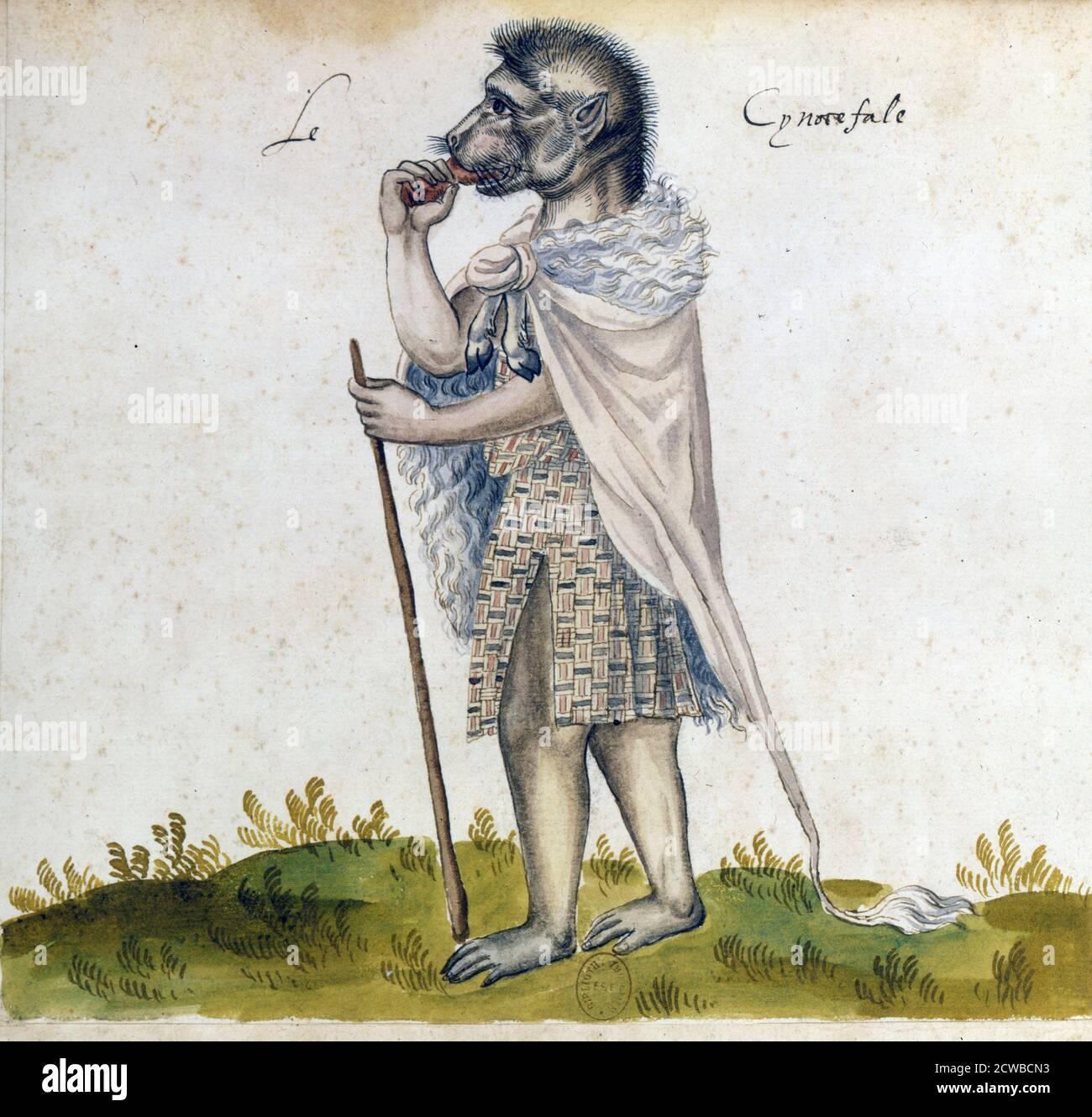 Il cinoscepalo, 15 ° secolo. Creatura mitica con la testa di un cane o di un baboon. Dalla collezione della Bibliotheque Nationale, Parigi. L'artista è sconosciuto. Foto Stock