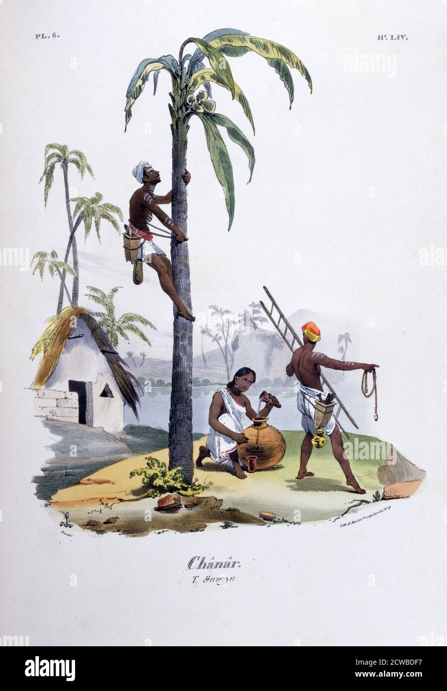 Chanar', 1828. Nadar anche Kshatriya Naadar, Natar, Sanar e Chanar è una delle caste tamil trovati principalmente in Tamil Nadu, Kerala e nella diaspora tamil, in particolare quelli che vivono in Sri Lanka. Una stampa di l'Inde Francaise, 1828. Dell'artista francese Jean Henri Marlet. Foto Stock