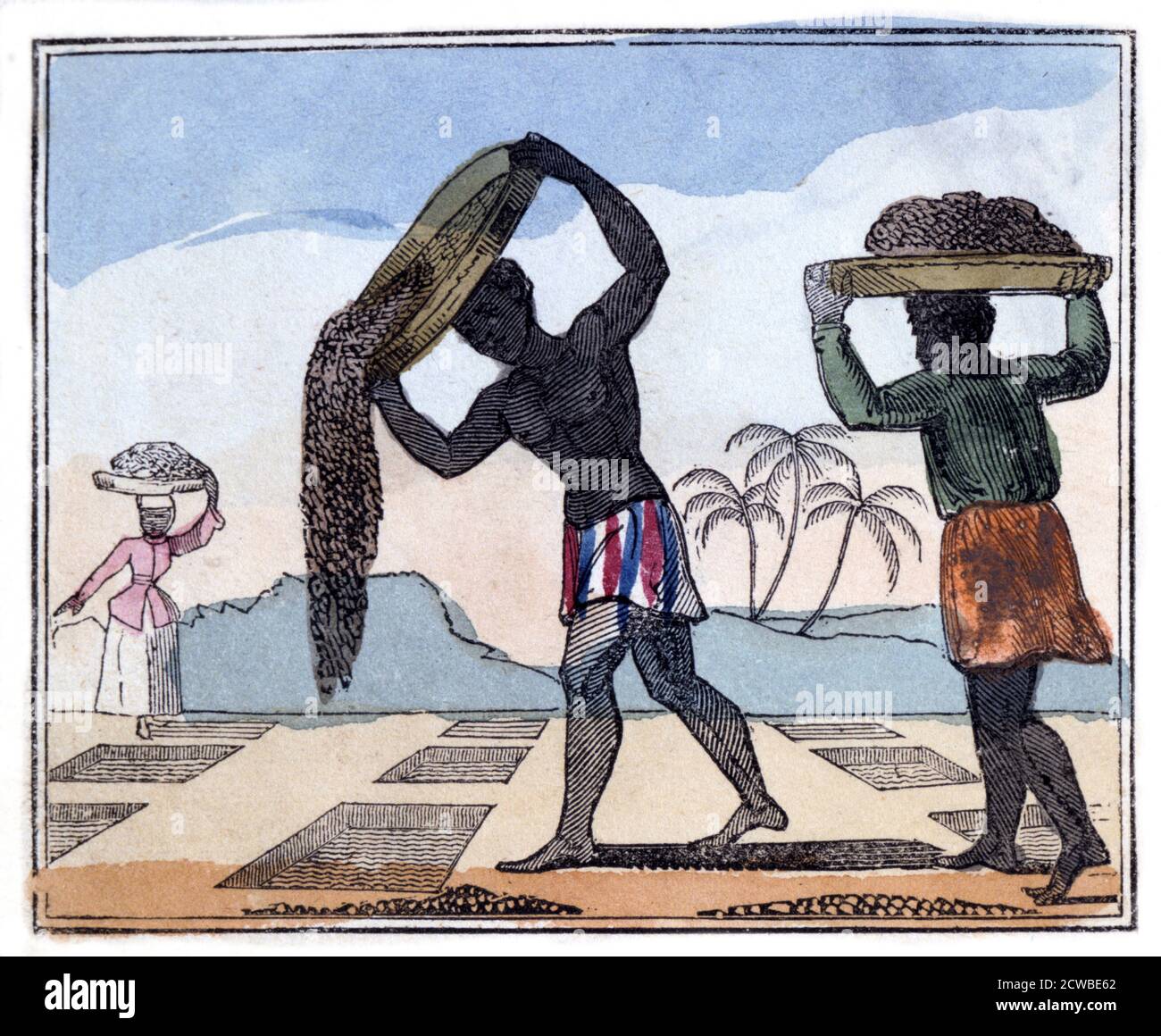 Manuring' 1826, artista: Amelia Alderson Opie. Da 'il Lament dell'uomo nero; o come fare lo zucchero'. (Londra, 1826). Foto Stock