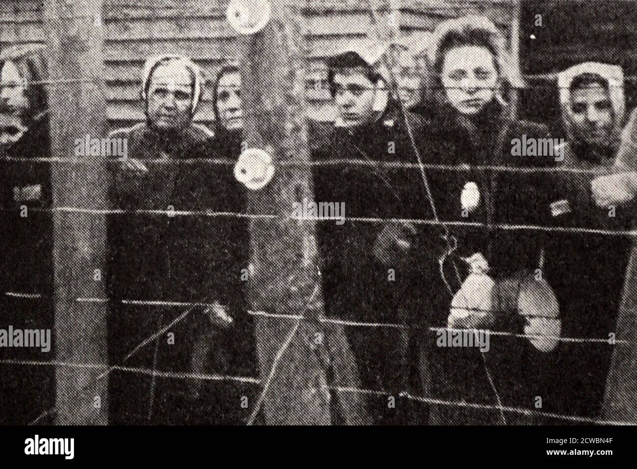 Fotografia in bianco e nero della seconda guerra mondiale (1939-1945) che mostra i campi di concentramento tedeschi al momento della loro liberazione da parte degli Alleati; un gruppo di prigionieri femminili dietro recinzioni a filo spinato guarda la telecamera. Foto Stock