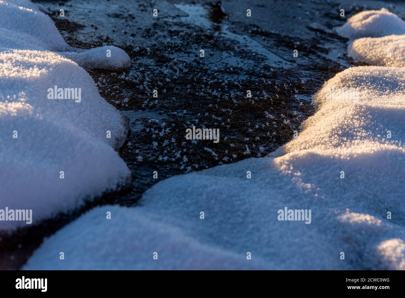 Immagini Stock - Sfondo Invernale Con Neve E Gelo Con Spazio Di Copia.  Acqua Ghiacciata.. Image 156192523