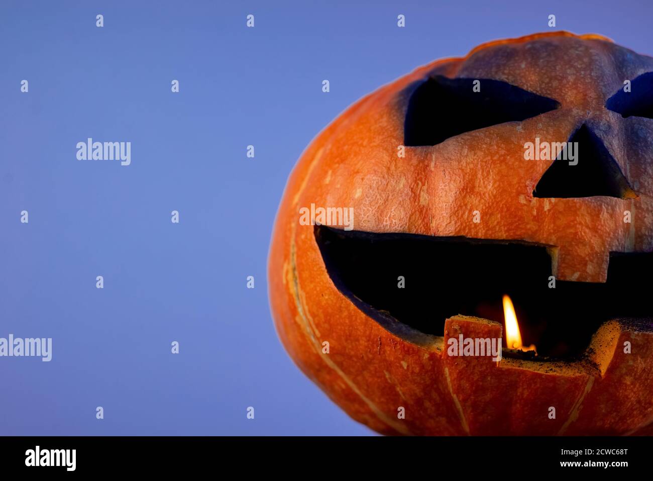 Grande spaventoso spooky scolpito lanterna jack di zucca con candela bruciante all'interno su sfondo viola studio con spazio di copia. Halloween tradizionale felice Foto Stock