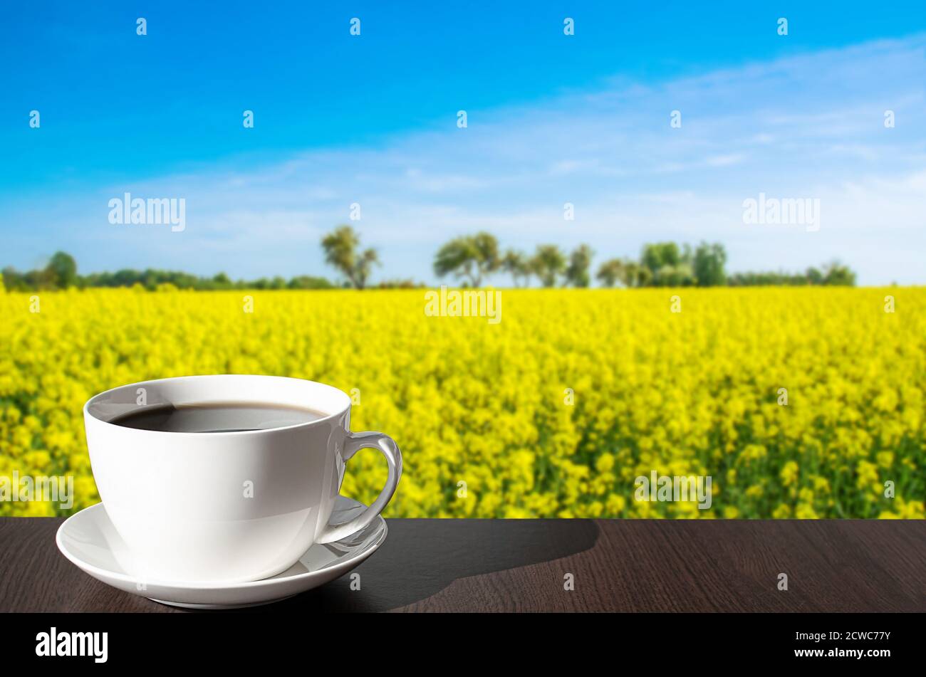 Tazza di caffè sul tavolo con vista sul campo Con fiori gialli e cielo blu in Lettonia Foto Stock