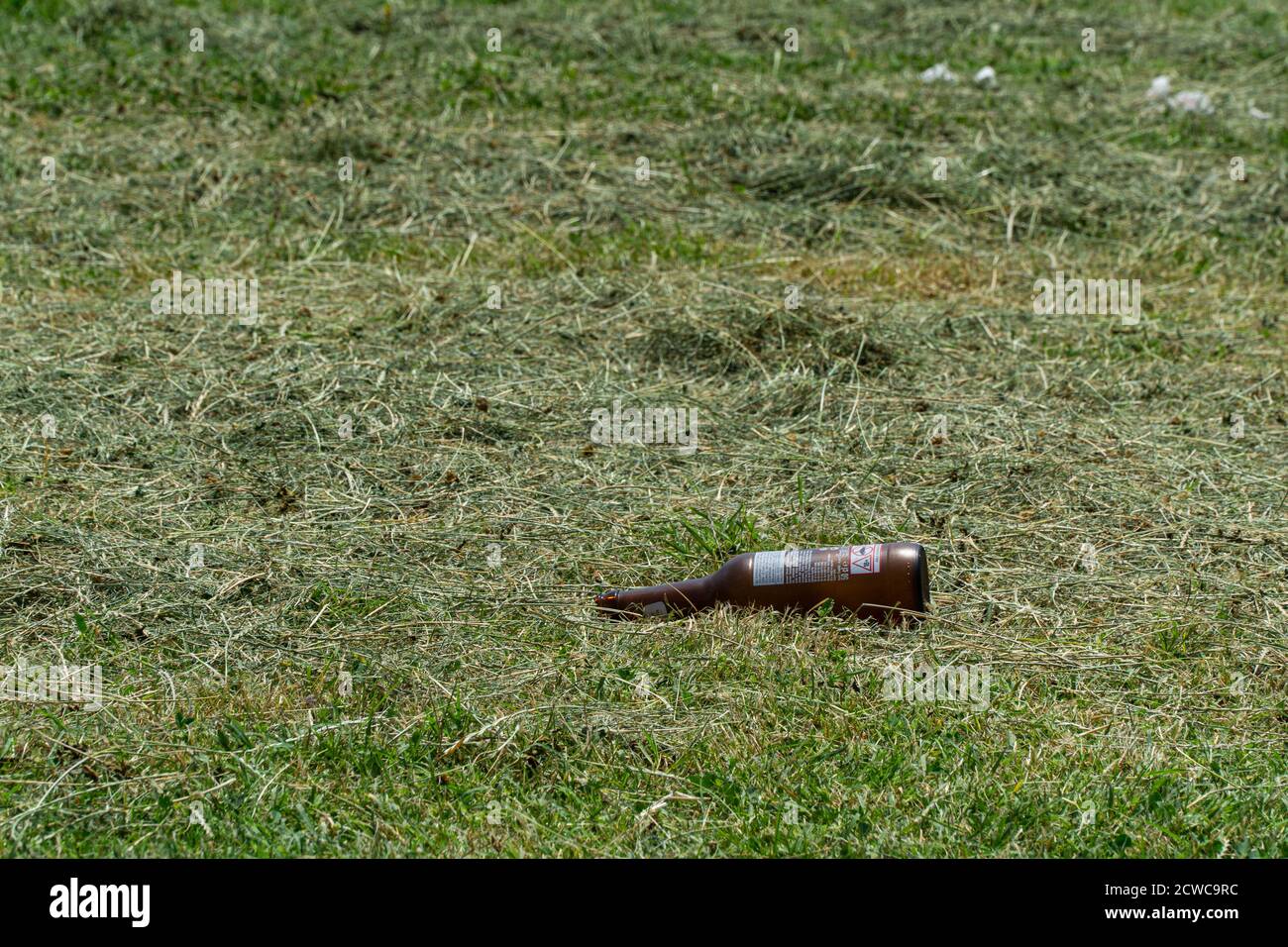 Bottiglia di vetro in natura, inquinamento ambientale Foto Stock