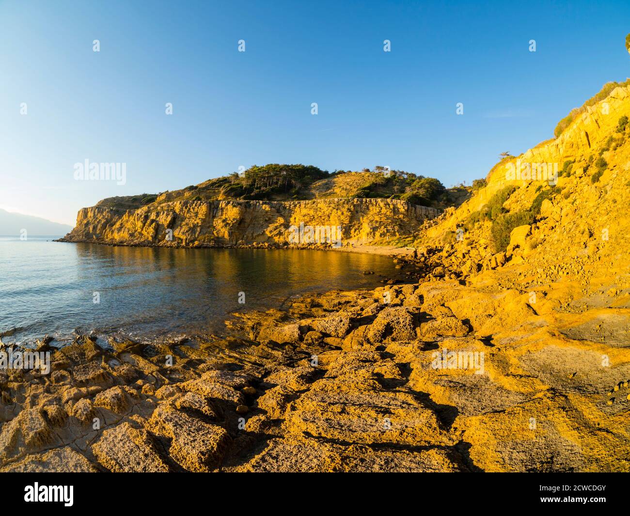 Terz Marle e arenaria della spiaggia di Lopar a Rab isola Croazia Europa come oro oro oro Foto Stock