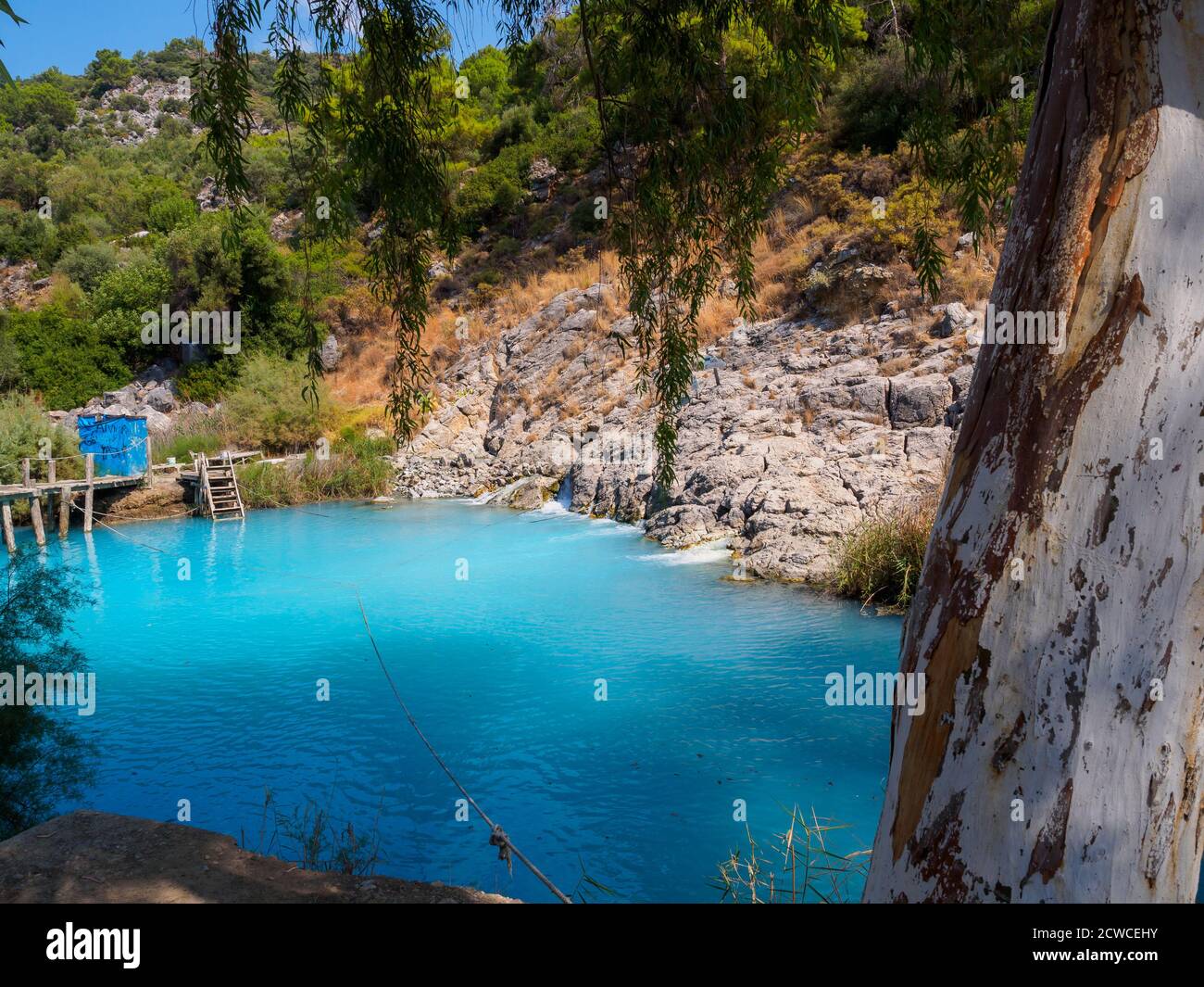 Laguna Termale Blu, Dalyan, Provincia di Muğla, Turchia Foto Stock