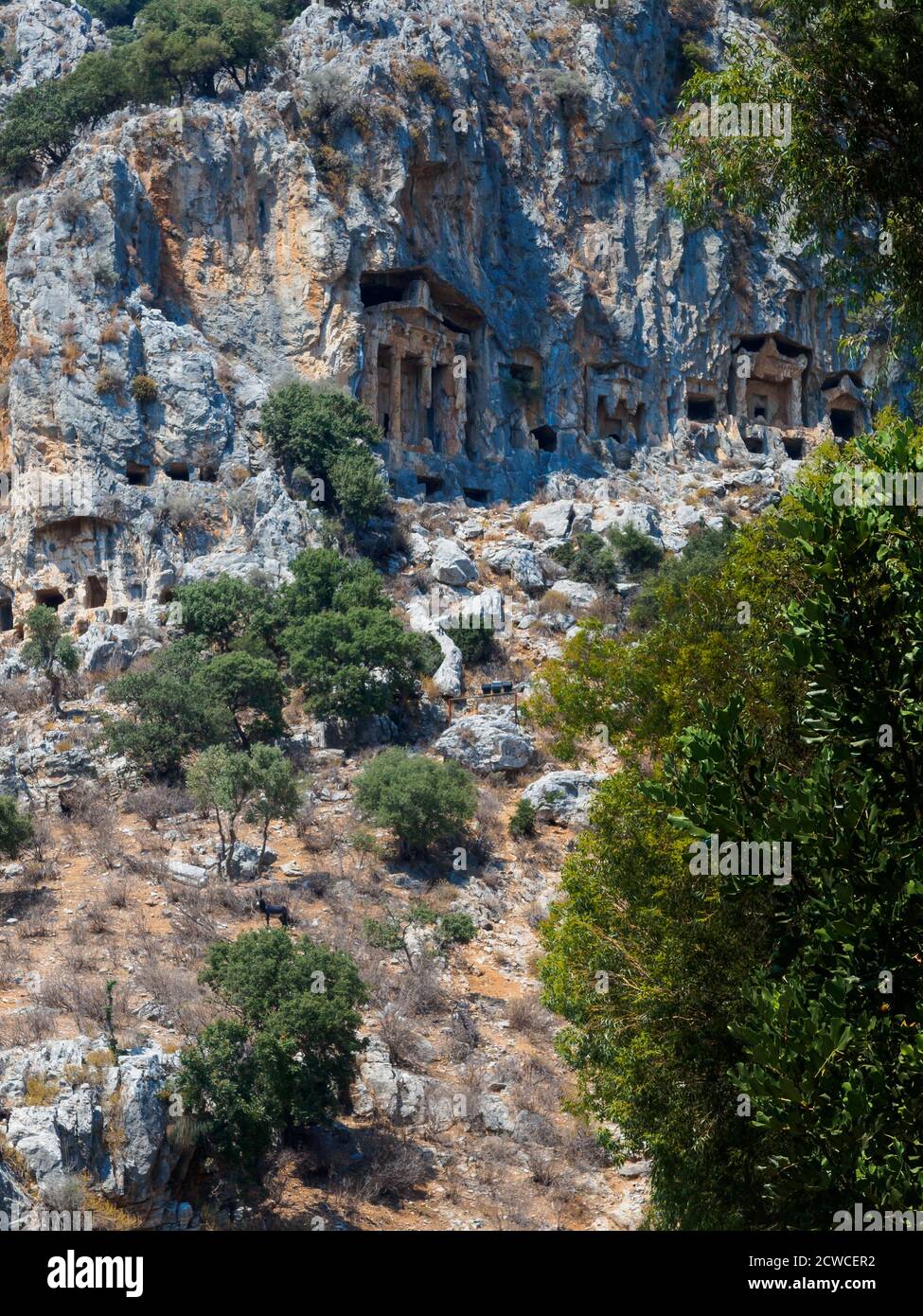 Antiche tombe rupestri dei Re Licia tagliate nella parete rocciosa sopra Dalyan, Turchia Foto Stock