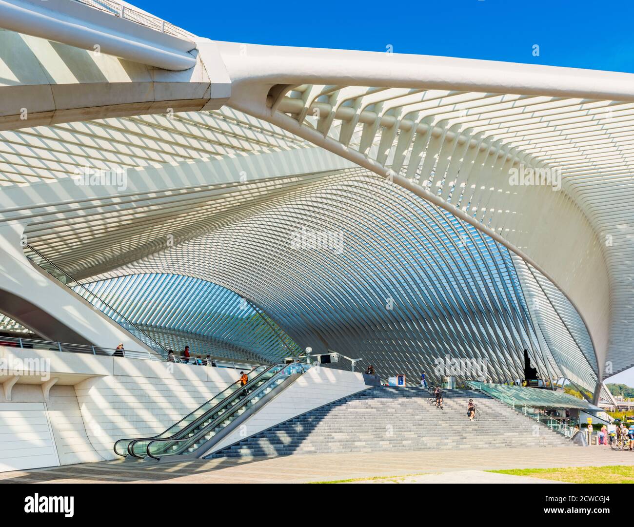 Vista laterale dell'ingresso principale della stazione ferroviaria di Liège Guillemins a Liegi, Belgio. È stato progettato dall'architetto Santiago Calatrava ed è stato aperto nel 20 Foto Stock