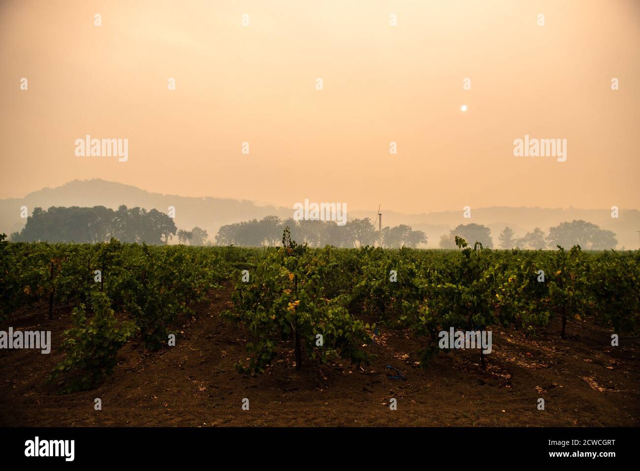 KENWOOD, CA - SETTEMBRE 28: Fumo dal fuoco di vetro incidente è visto vicino Kenwood, California il 28 settembre 2020. - il fuoco selvatico è esploso da 1,500 acri a più di 15,000 acri durante la notte come venti si diffonde brace attraverso la valle. Decine di migliaia di persone sono state costrette a fuggire dalle loro case nelle valli californiane di Napa e Sonoma di lunedì, mentre i fuochi selvatici si sono inaspriti da venti feroci strappati attraverso la regione vinicola famosa in tutto il mondo. Foto: Chris Tuite/ImageSPACE/MediaPunch Foto Stock