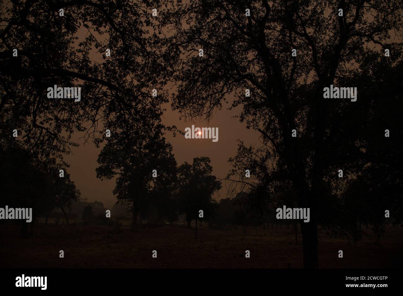 KENWOOD, CA - SETTEMBRE 28: Fumo dal fuoco di vetro incidente è visto vicino Kenwood, California il 28 settembre 2020. - il fuoco selvatico è esploso da 1,500 acri a più di 15,000 acri durante la notte come venti si diffonde brace attraverso la valle. Decine di migliaia di persone sono state costrette a fuggire dalle loro case nelle valli californiane di Napa e Sonoma di lunedì, mentre i fuochi selvatici si sono inaspriti da venti feroci strappati attraverso la regione vinicola famosa in tutto il mondo. Foto: Chris Tuite/ImageSPACE/MediaPunch Foto Stock