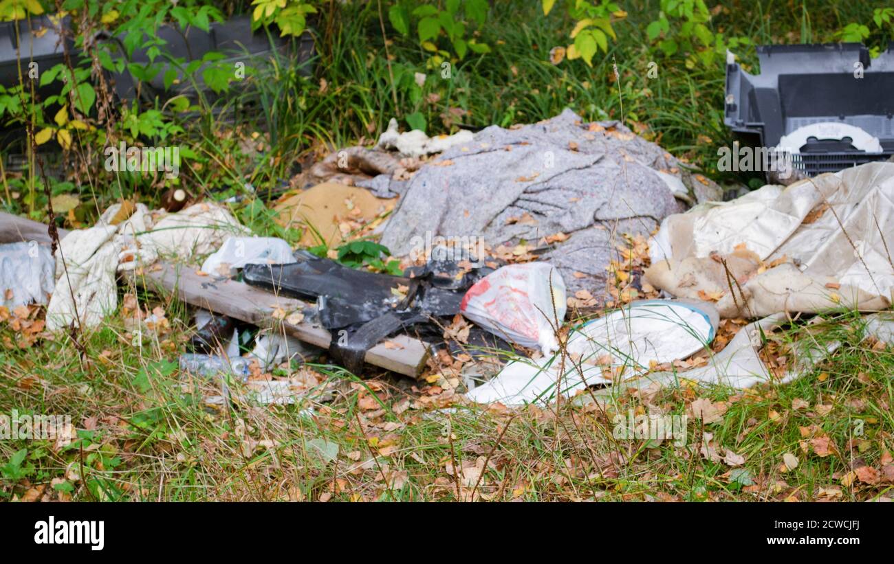 Spazzatura nella foresta. Problema ecologico. Plastica, vetro, lattine. Foto Stock