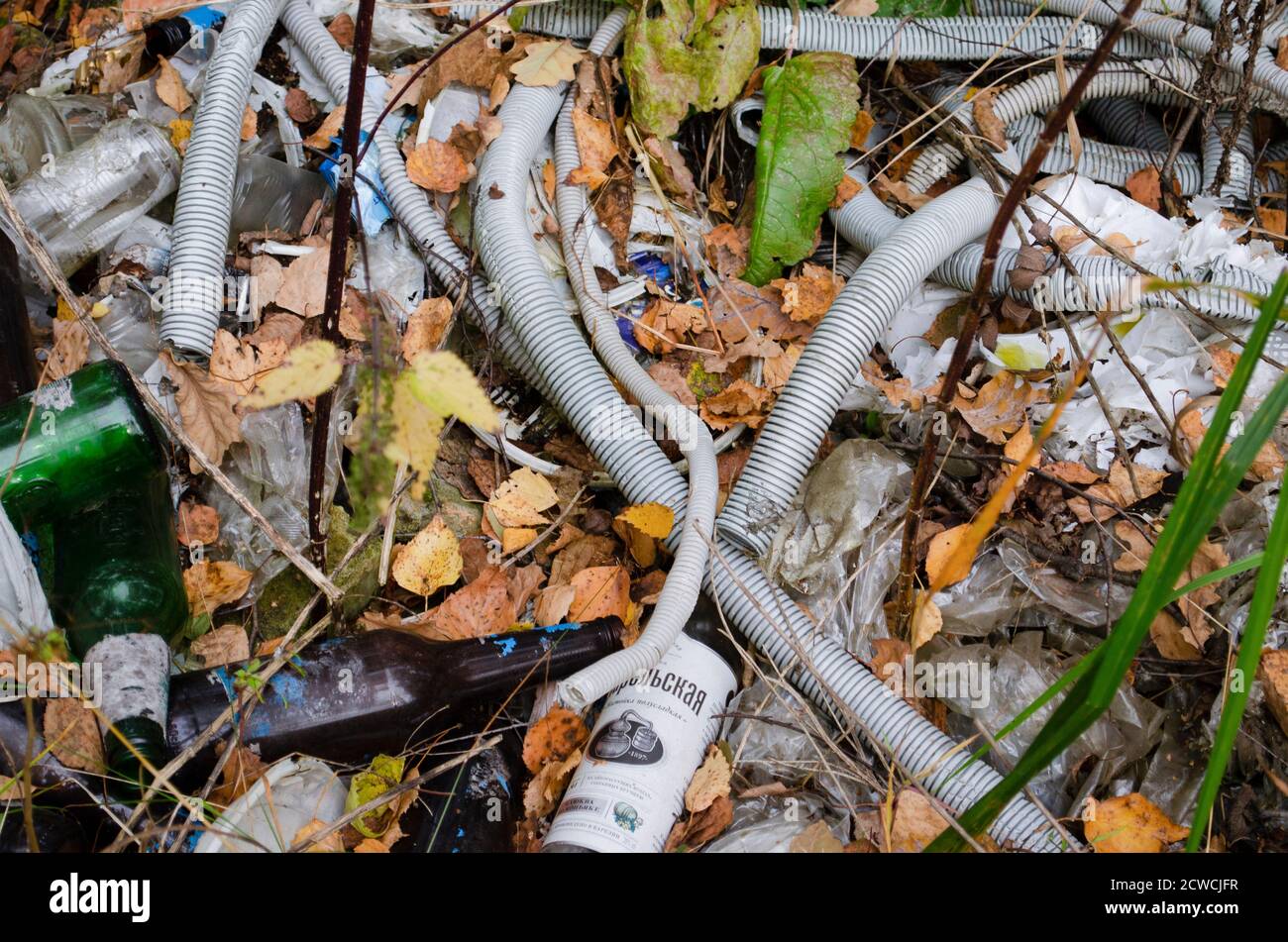 Spazzatura nella foresta. Problema ecologico. Plastica, tubi e bottiglie a terra. Foto Stock