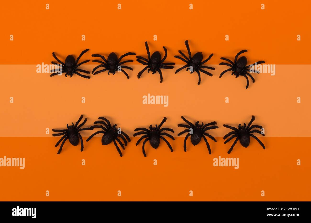 Cornice rettangolare di ragni neri su sfondo arancione. Vista dall'alto. Disposizione piatta. Carta vacanza Mock up Foto Stock