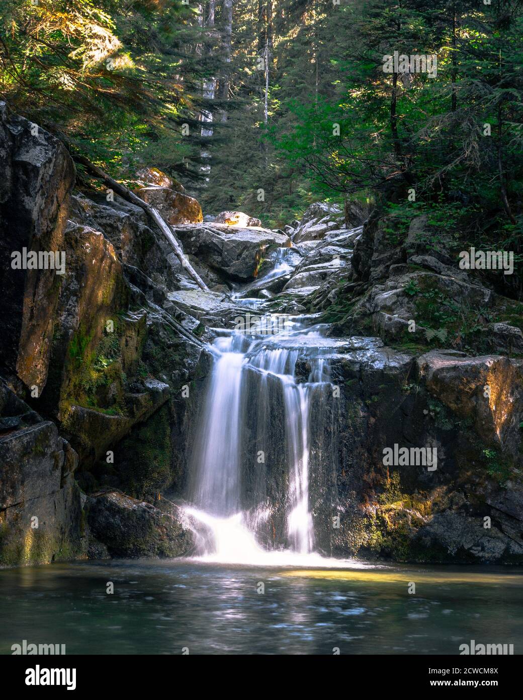 Cascata a lunga esposizione scattata nella foresta di Lynn Valley con Nikon d3200 Foto Stock