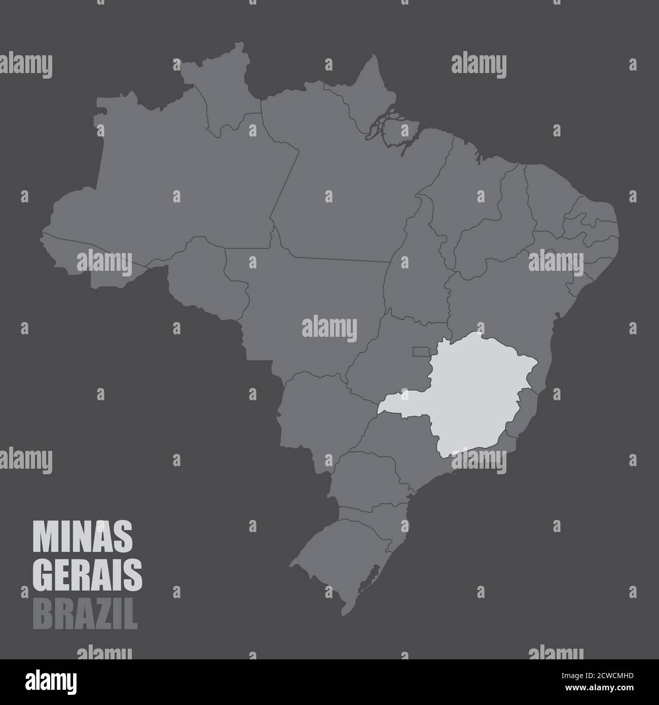 Mappa del Brasile Minas Gerais Illustrazione Vettoriale
