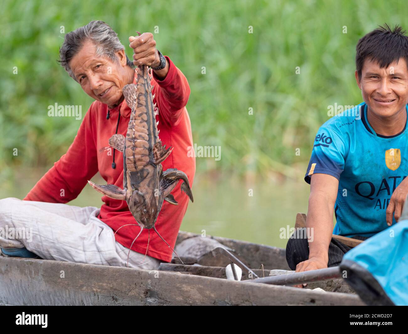 Pescatore che mostra pesce gatto catturato dalla rete sul lago di Oxbow Atun Poza, Iquitos, Perù. Foto Stock