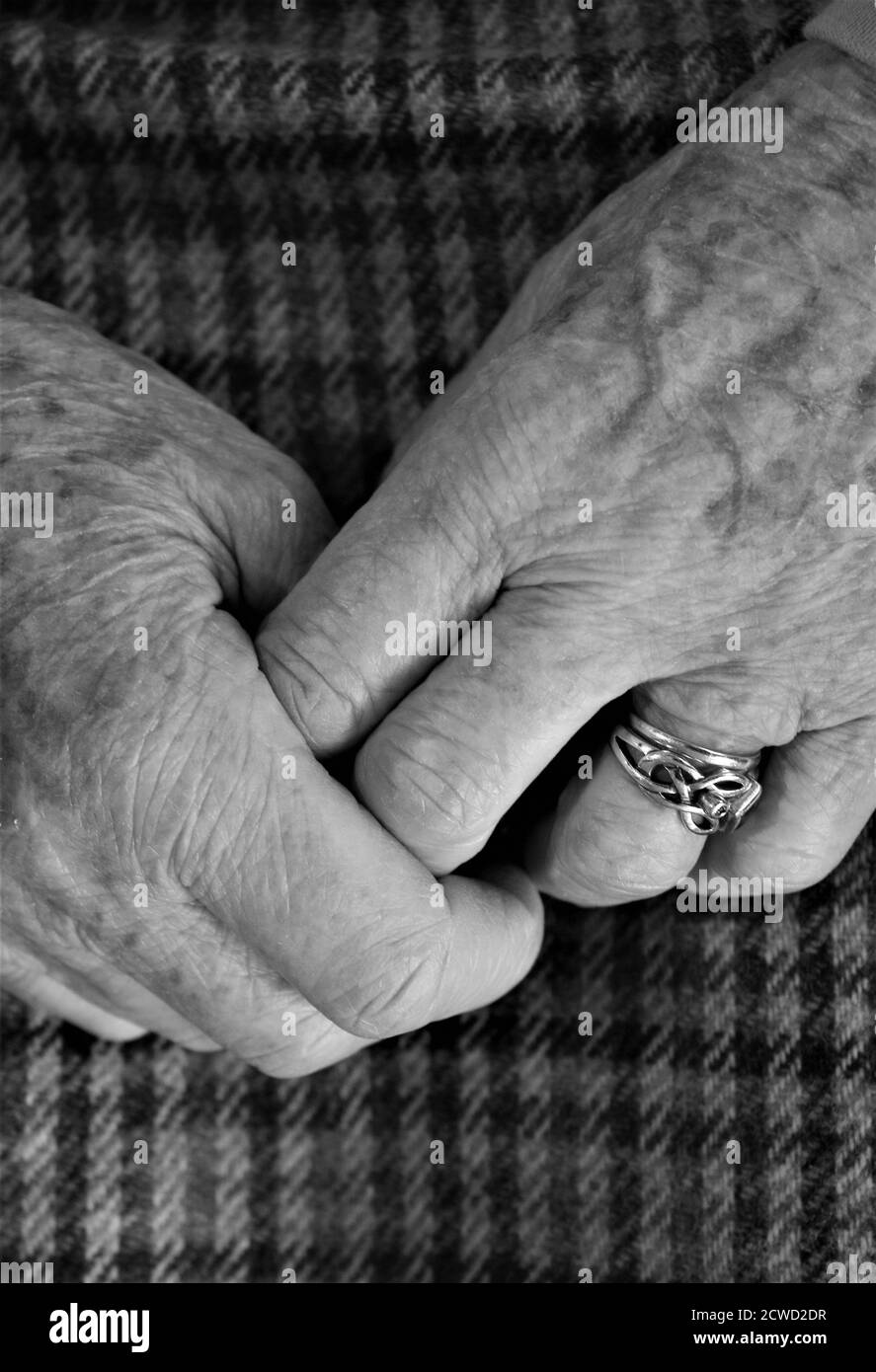 Primo piano di vecchie mani di signora aggrappate mostrando le dita e. anello di nozze e fidanzamento con polpa femminile rugosa e marrone luoghi di età rilassati seduti Foto Stock