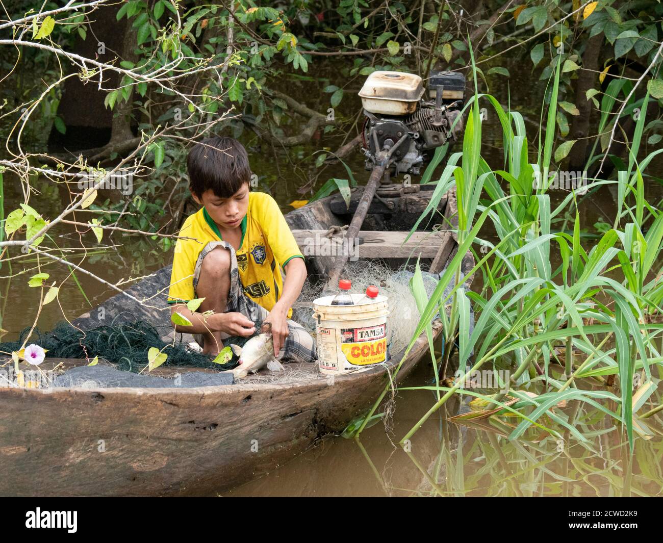 Un ragazzo giovane che raccoglie pesce dalla sua rete sul torrente Belluda, Ucayali River, Loreto, Perù. Foto Stock