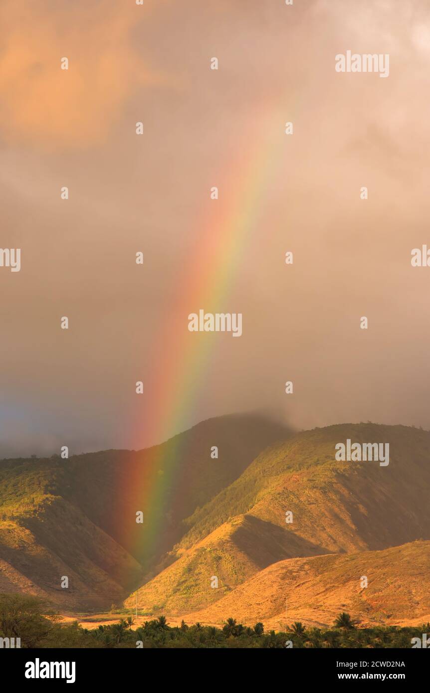 Splendida vista verticale di un arcobaleno sulle montagne occidentali di maui. Foto Stock