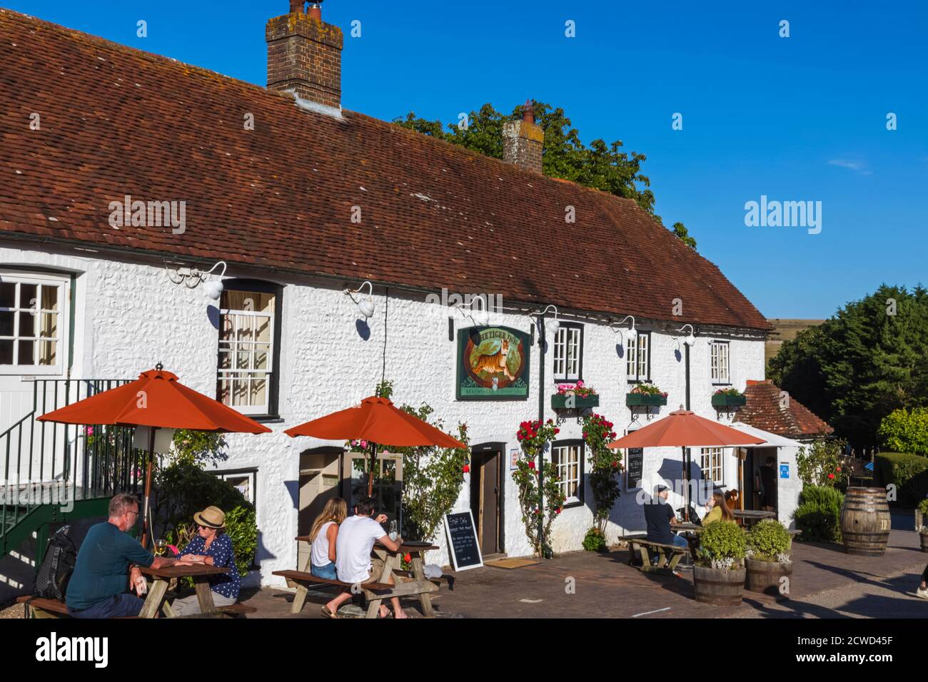 Inghilterra, East Sussex, South Downs National Park, East Dean, The Tiger Inn Pub and Restaurant Foto Stock