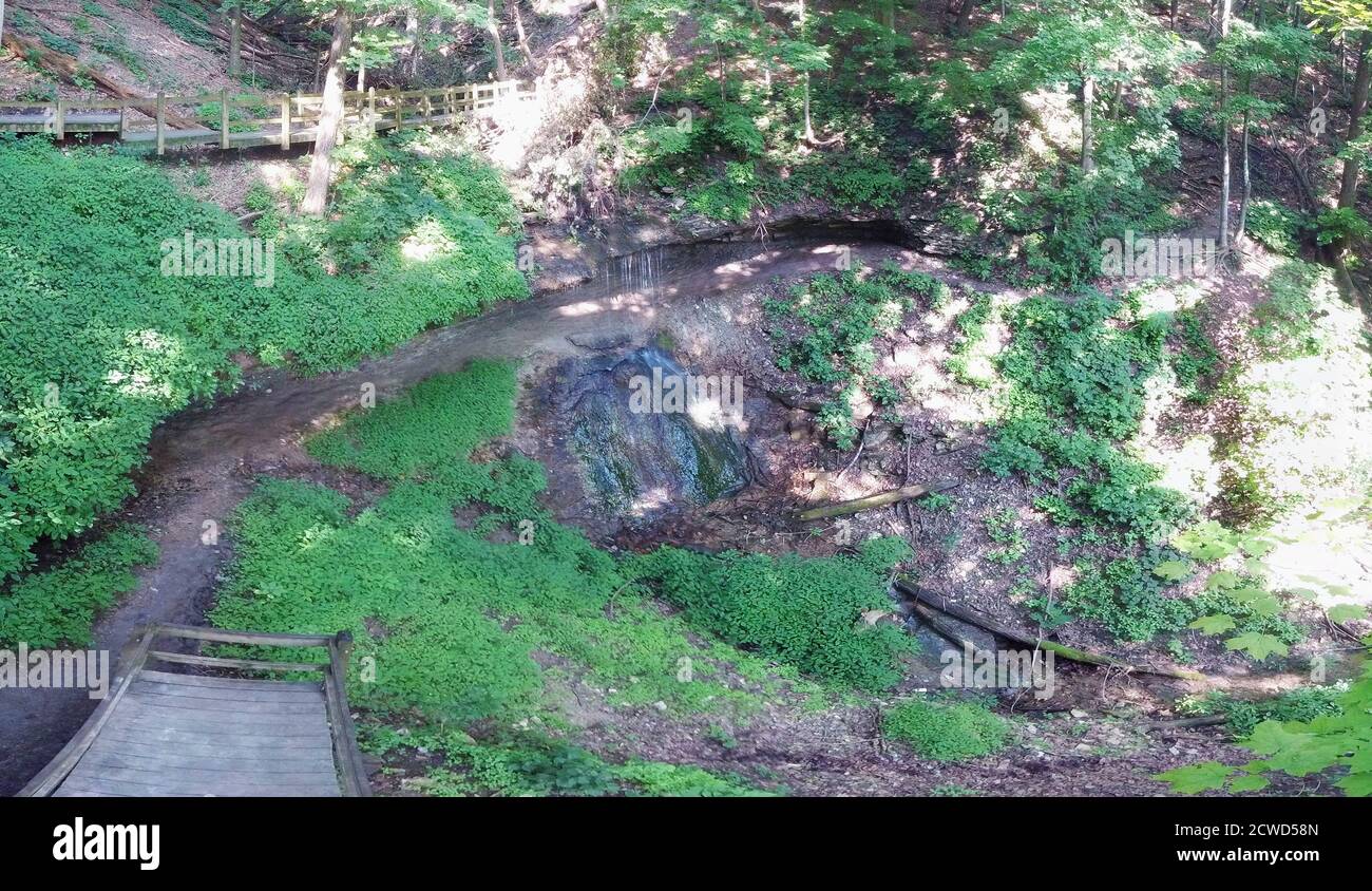 Sentiero naturalistico, boschi fitti, ponte che attraversa una cascata naturale. Vista panoramica di fitti boschi verdi. Sentiero boscoso con cascate ampio panorama di Pikes Peak Foto Stock