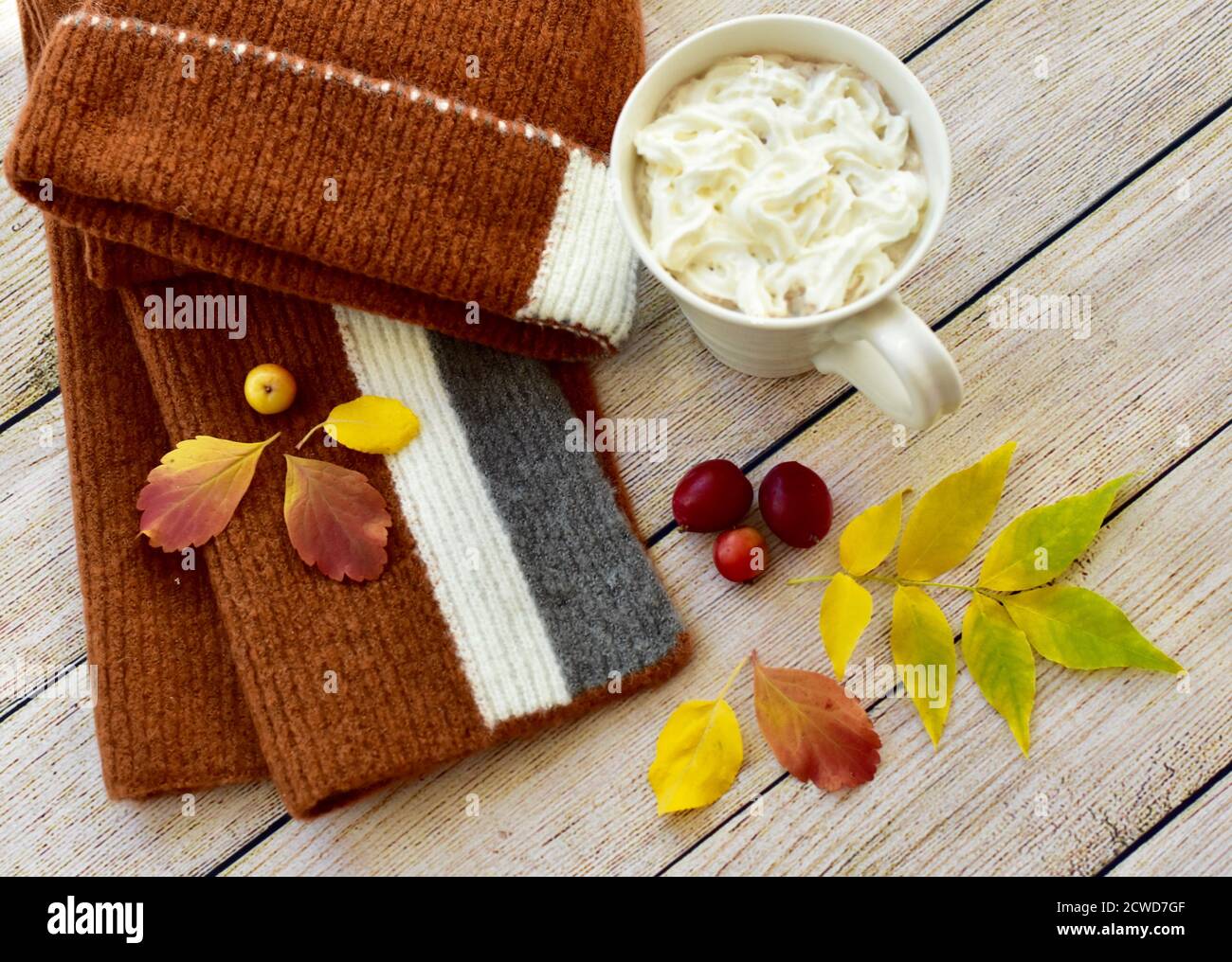 Caldo toto e sciarpa invernale e delizioso cacao caldo con panna montata da sorseggiare e gustare in autunno stagionale giorni dopo le passeggiate in caduta foglie Foto Stock