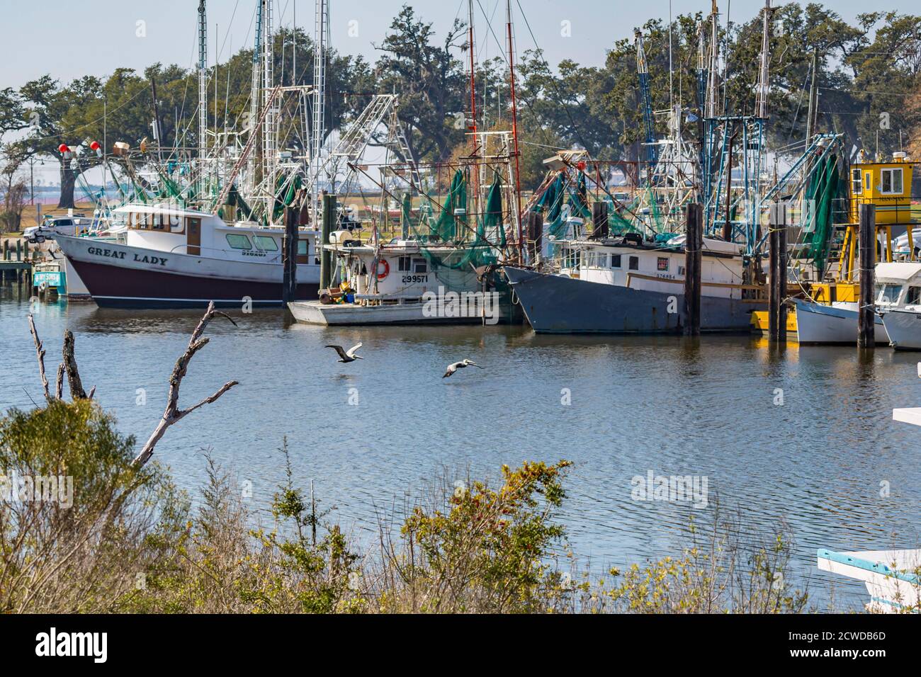 Imbarcazioni private e commerciali nel porto interno di Ocean Springs, Mississippi Foto Stock