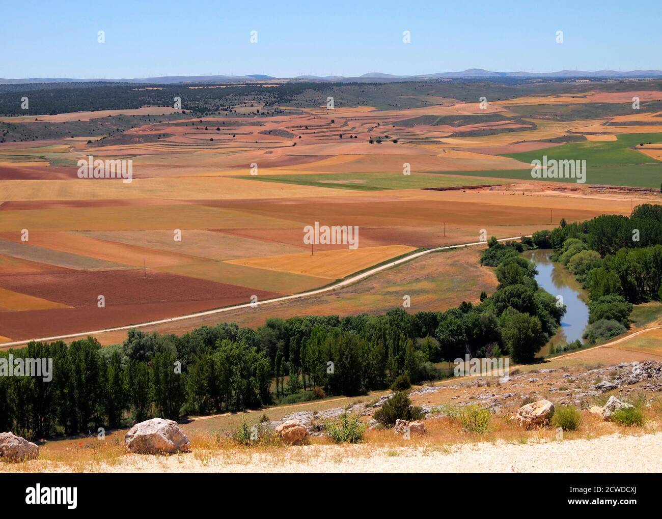El río Duero en el paisaje de Soria desde el castillo de Gormaz. Castilla León. España Foto Stock