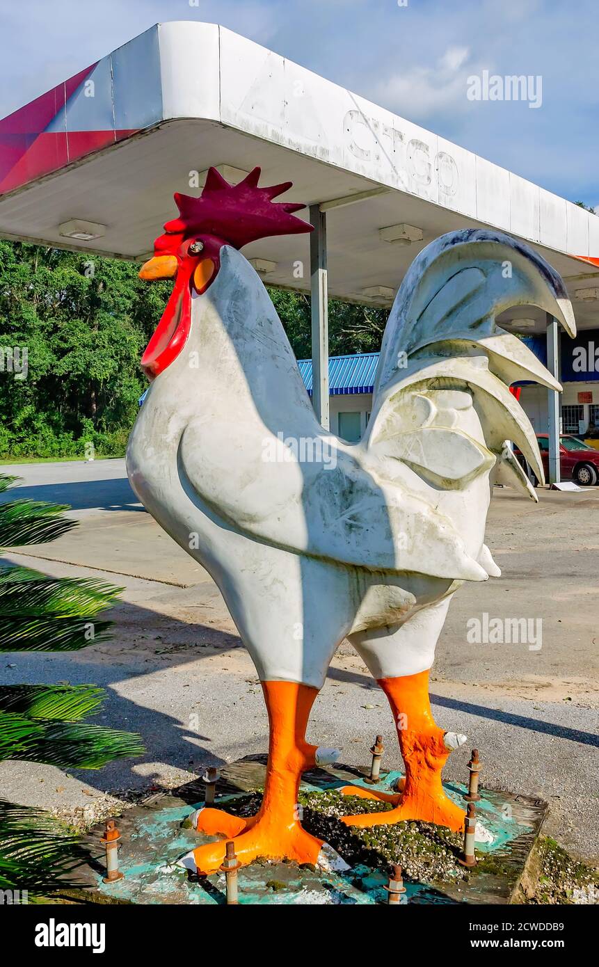 Un pollo gigante si trova di fronte a un distributore di benzina Citgo, 17 settembre 2020, a Irvington, Alabama. Le statue attirano l'attenzione della stazione di servizio. Foto Stock