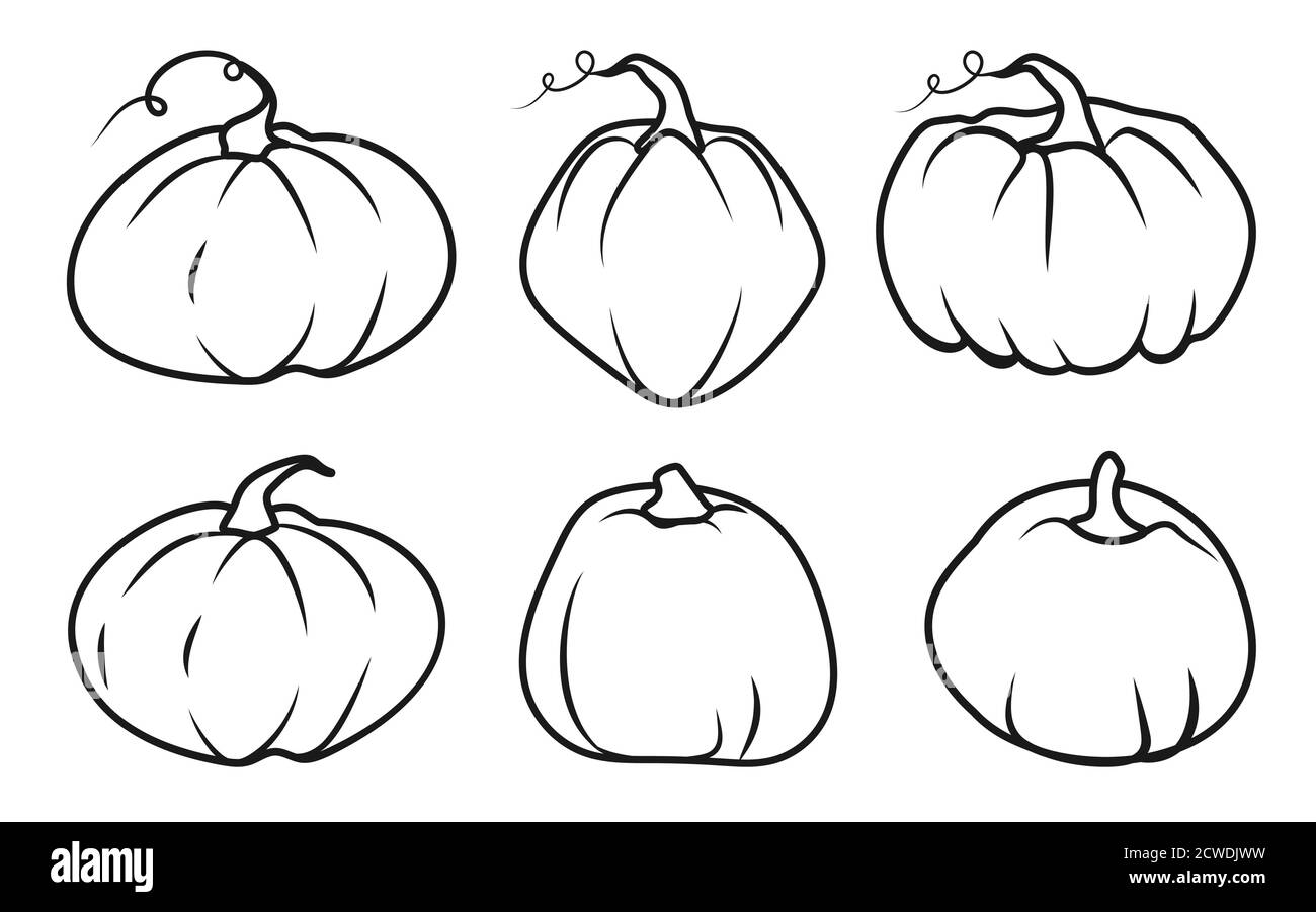 Set di icone linea nera della zucca autunnale. Sagoma contorno forma diversa gourd. Pittogramma stile lineare. Cartello con la scritta Thanksgiving and Halloween, season crop Capacity isolated on white vector illustration Illustrazione Vettoriale